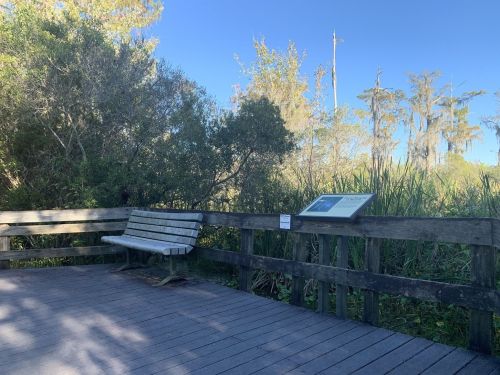A wooden observation deck with a bench and informational sign, surrounded by lush greenery and trees.