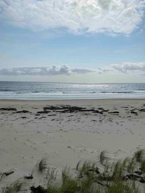A serene beach scene with gentle waves, a cloudy sky, and patches of seaweed on the sandy shore.