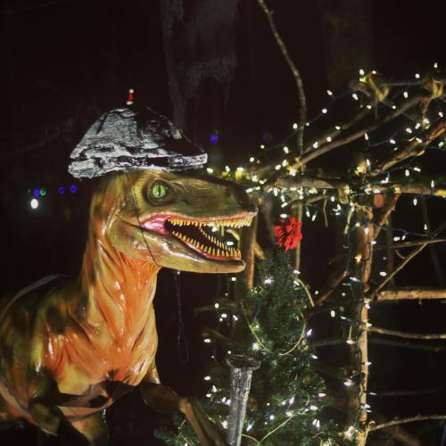 A dinosaur statue wearing a hat, surrounded by festive lights and decorations in a dark, wooded setting.