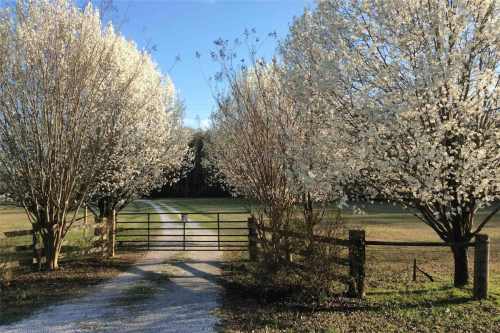 A scenic pathway lined with flowering trees leads to a wooden gate, framed by lush greenery under a clear blue sky.