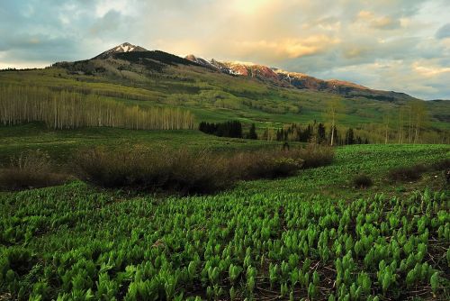 Lush green fields with mountains in the background under a cloudy sky, illuminated by soft sunset light.