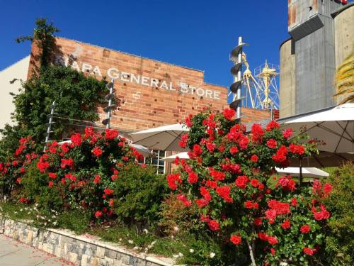 A brick building with "Napa General Store" sign, surrounded by vibrant red flowers and blue sky.