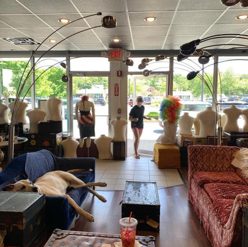 A boutique interior with mannequins, colorful decor, and a dog lounging on a couch. A person is seen in the background.