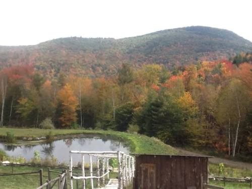Scenic view of colorful autumn foliage surrounding a pond, with mountains in the background and a rustic wooden structure.