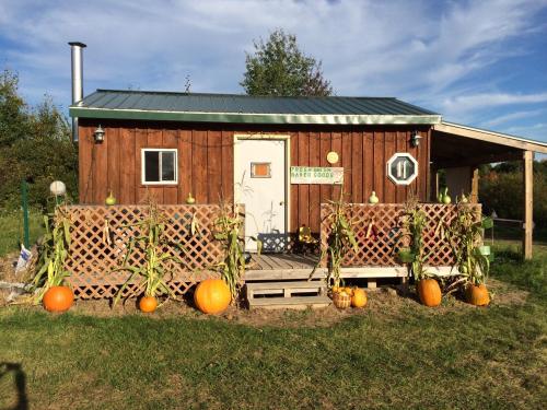 A rustic wooden cabin with a green roof, surrounded by pumpkins and corn stalks, set against a blue sky.