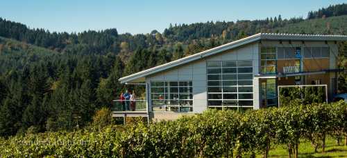 A modern building overlooks lush vineyards and rolling hills under a clear blue sky.