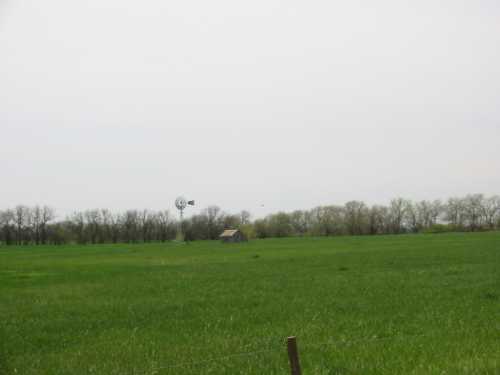 A green field stretches under a cloudy sky, featuring a windmill and a small house in the distance among trees.