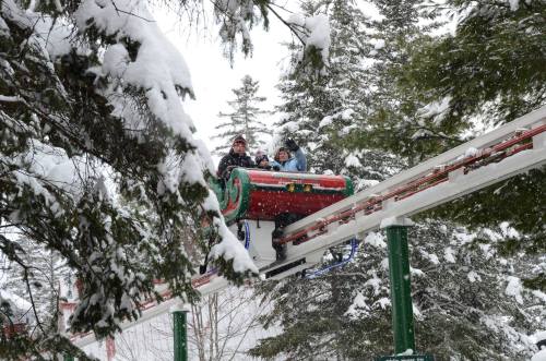 Two people ride a snowy roller coaster, surrounded by snow-covered trees.