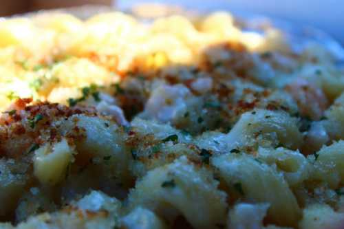 Close-up of baked macaroni and cheese, topped with golden breadcrumbs and sprinkled with herbs.