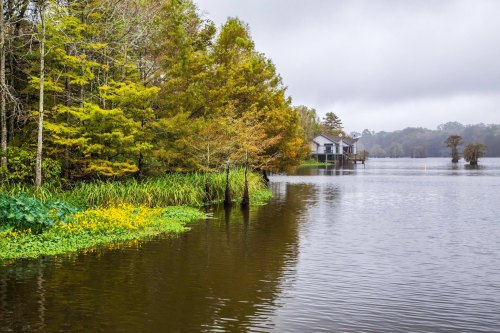 A serene lake scene with lush greenery, colorful flowers, and a house in the background under a cloudy sky.