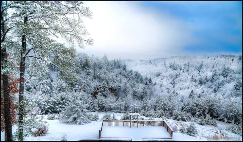 A snowy landscape with trees and a wooden deck, under a cloudy sky, creating a serene winter scene.