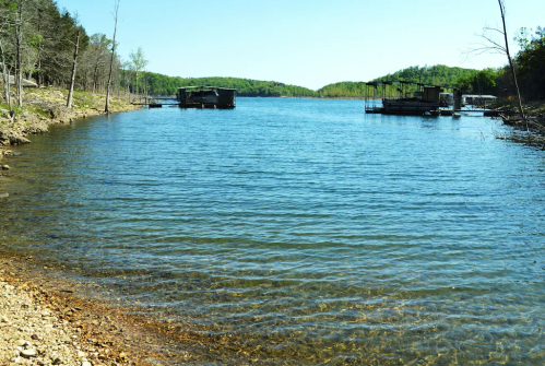 A calm lake with clear water, surrounded by trees and two docks in the distance under a bright blue sky.