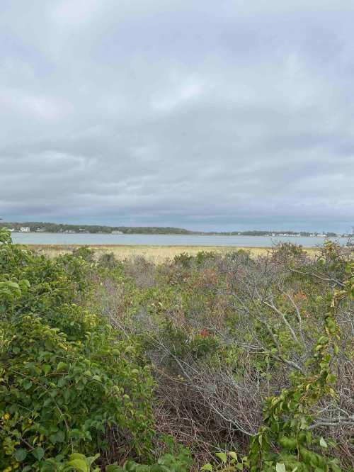 A cloudy sky over a coastal landscape with greenery in the foreground and water in the distance.