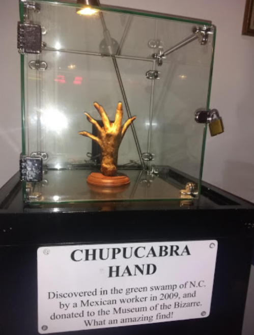 A glass display case containing a golden hand sculpture labeled "Chupacabra Hand," with a description plaque below.