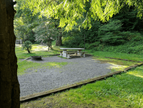 A peaceful outdoor area with a picnic table, fire pit, and surrounding trees in a grassy setting.