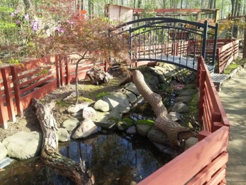 A serene garden scene featuring a small bridge over a stream, surrounded by rocks, trees, and vibrant greenery.