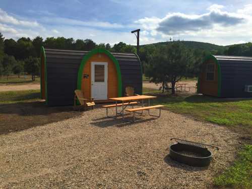 Two small cabins with green roofs sit in a grassy area, featuring a picnic table and fire pit in front.