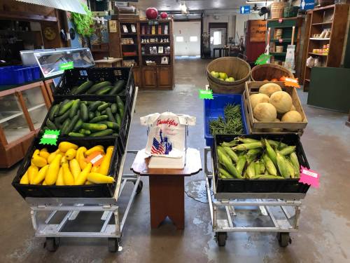 Two carts filled with fresh vegetables, including yellow squash and cucumbers, in a market setting.