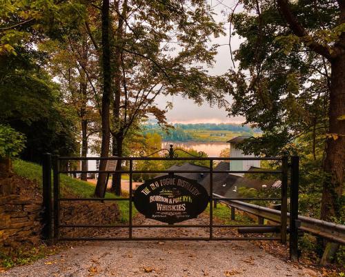 A rustic gate at the Old Pogue Distillery, surrounded by trees, with a scenic view of rolling hills in the background.