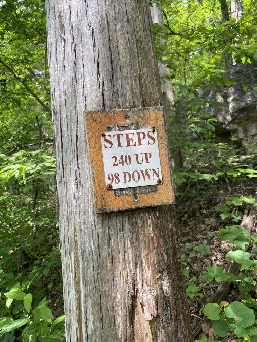 Sign on a tree indicating "STEPS 240 UP 98 DOWN" in a wooded area.