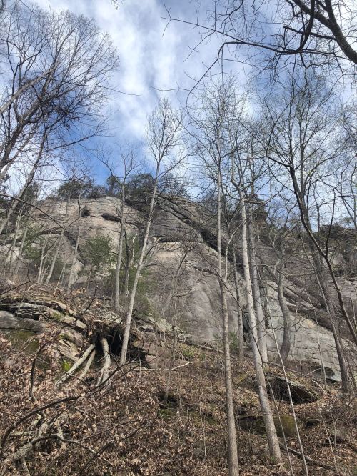 A rocky cliff rises above a forest of bare trees under a partly cloudy sky.