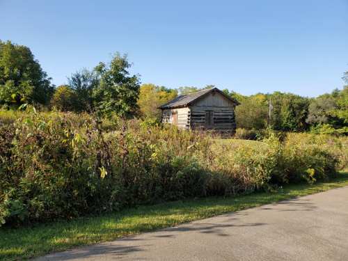 A rustic log cabin surrounded by tall grass and trees under a clear blue sky.