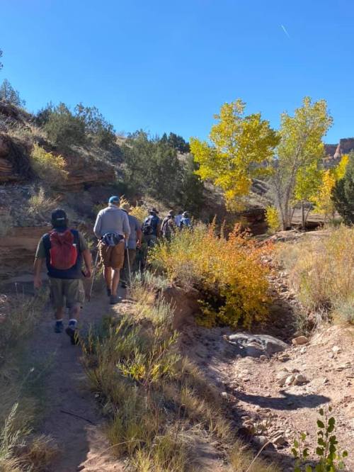 A group of hikers walks along a trail surrounded by colorful autumn foliage and rocky terrain.