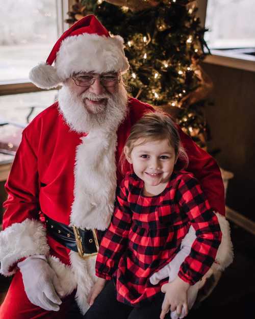 Santa Claus sits with a smiling young girl in a red and black checkered dress, with a festive tree in the background.