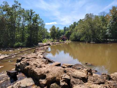 A serene landscape featuring a calm river, rocky shore, and lush green trees under a clear blue sky.