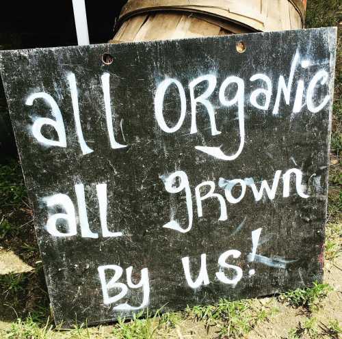 A weathered sign reads, "All organic, all grown by us!" in bold white letters on a dark background.