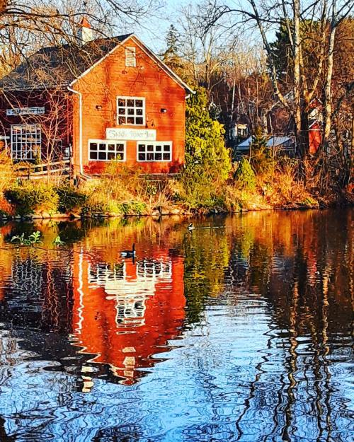 A red inn reflected in calm water, surrounded by trees and greenery, with ducks swimming nearby.