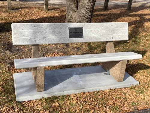 A gray park bench with a plaque, surrounded by fallen leaves and trees in a quiet outdoor setting.