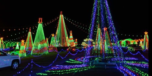 Colorful Christmas lights illuminate a festive scene with decorated trees and vibrant displays against a dark night sky.