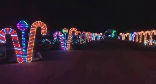 Colorful illuminated candy canes line a dark pathway, creating a festive holiday atmosphere.