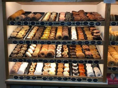 A display case filled with a variety of colorful donuts arranged on multiple shelves.