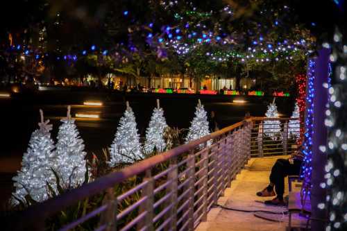 A festive scene with illuminated Christmas trees and colorful lights along a walkway at night.