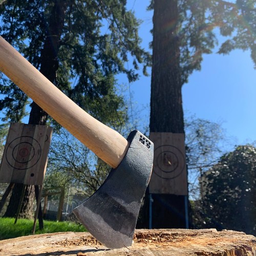 A close-up of an axe resting on a log, with wooden targets visible in the background under a clear blue sky.