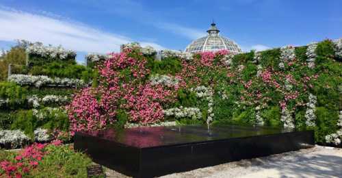 A vibrant garden with pink flowers and greenery, featuring a black fountain and a glass-domed structure in the background.