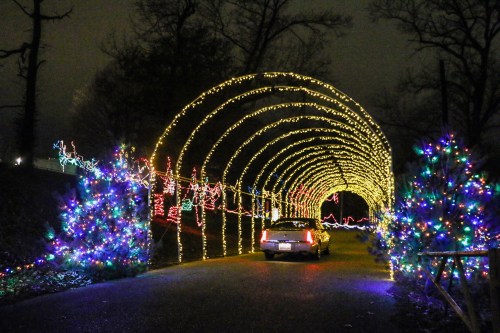 A car drives through a tunnel of colorful holiday lights, surrounded by decorated trees at night.
