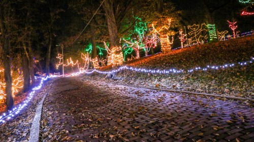 A winding path illuminated by colorful holiday lights, surrounded by trees and fallen leaves at night.