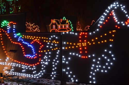 Colorful holiday lights depict a sleigh and horse, with a festive house illuminated in the background.