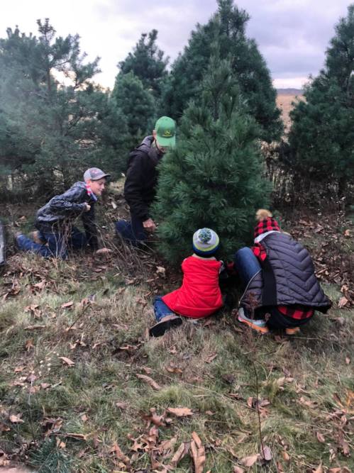 A group of people, including children, are selecting a Christmas tree in a field surrounded by evergreen trees.