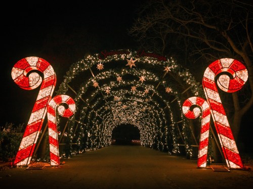 A festive archway decorated with red and white candy canes and twinkling lights, creating a magical holiday atmosphere.