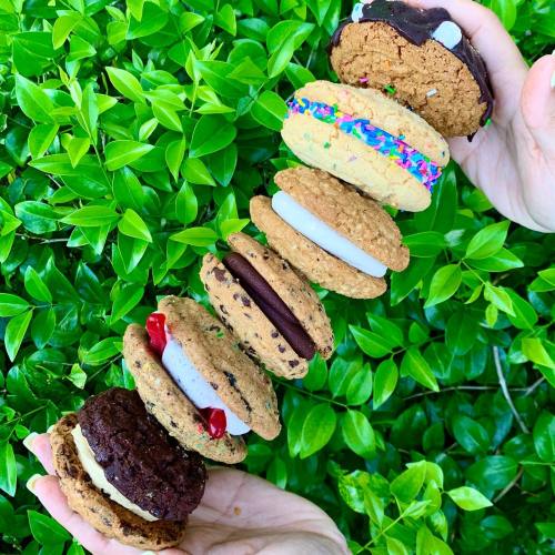 A variety of colorful cookies stacked vertically, held by hands against a backdrop of green leaves.