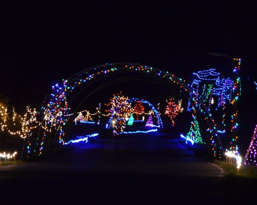 A festive display of colorful holiday lights illuminating a pathway and trees at night.