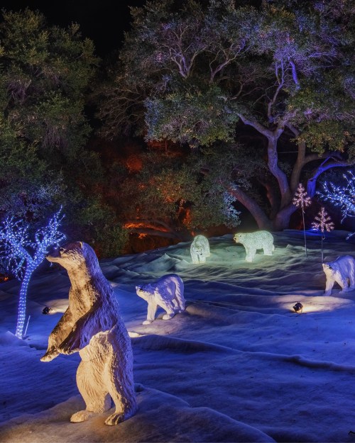 Illuminated bear sculptures in a nighttime setting, surrounded by colorful lights and trees.