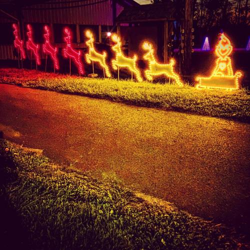Colorful holiday lights display featuring reindeer and a snowman along a grassy roadside at dusk.