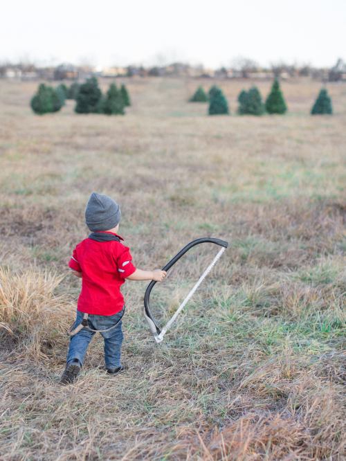 A child in a red shirt and gray beanie walks through a field, holding a bow, with Christmas trees in the background.