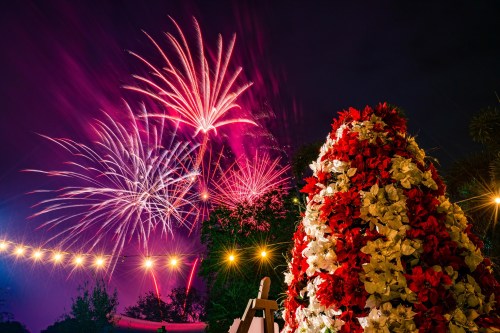 Colorful fireworks illuminate the night sky above a festive floral display, with string lights adding a warm glow.
