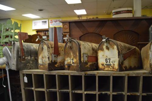 Three vintage, rusty mailboxes numbered 67, 72, and 79, displayed on a wooden shelf in a bright, cluttered shop.